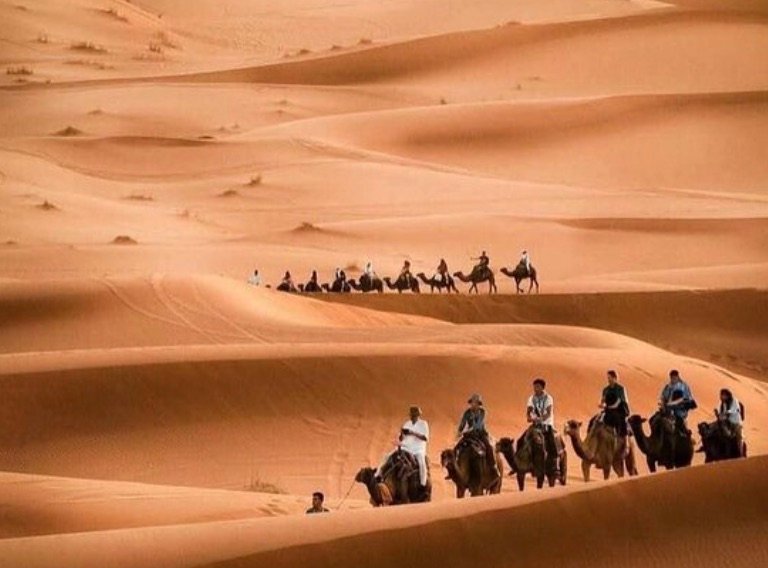 Camel caravan in the Merzouga dunes on a 3 day desert tour from Marrakech
